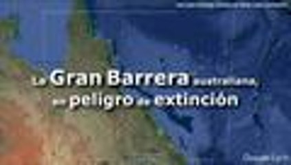 La Gran Barrera australiana, en peligro de extinción