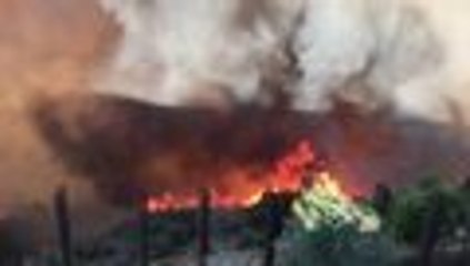 Bomberos contienen 25 por ciento del incendio más grave del sur de California
