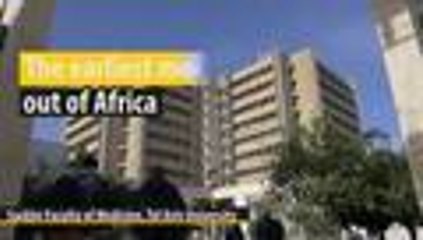 Video: una mand√≠bula encontrada en Israel cambia la historia de los humanos