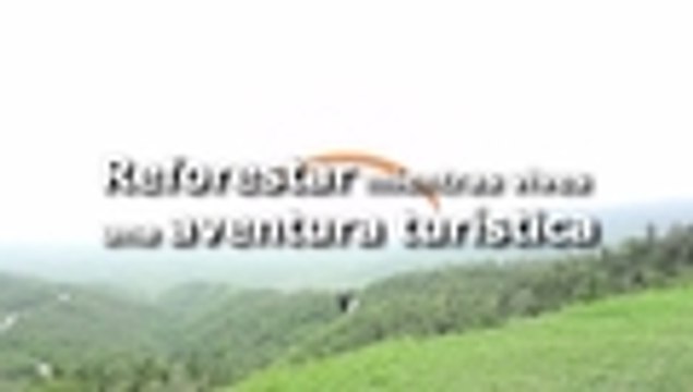 En video: Volar en parapente ayuda a salvar los bosques de Brasil