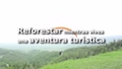 En video: Volar en parapente ayuda a salvar los bosques de Brasil