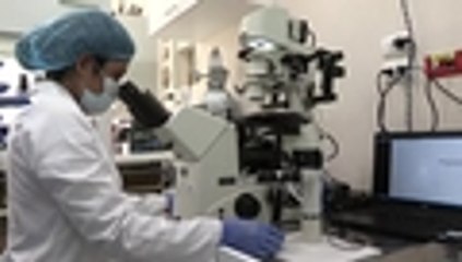 Clonar alpacas, la próxima meta de una universidad en Lima, Perú