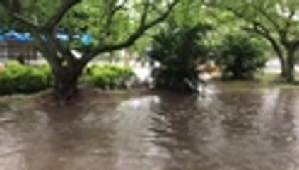 Inundación en el oeste por causa de las lluvias
