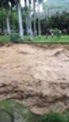En video: creciente del río Cali por lluvias genera alerta en el oeste de la ciudad 2