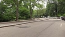 En video: prohíben entrada de carros al Central Park, en Nueva York, por protección ambiental