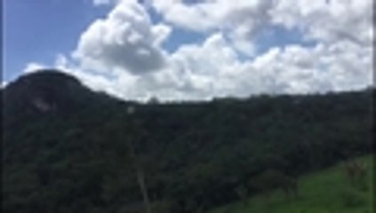 Pictogramas ancestrales descubiertos en el PNN Chiribiquete