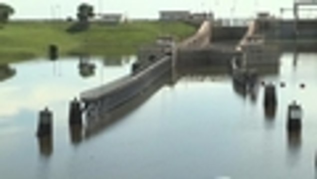 Algas tóxicas ponen en riesgo a los ríos de Florida, EE. UU.