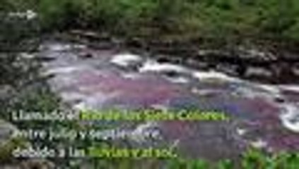 Las postales que le darán ganas de visitar Caño Cristales