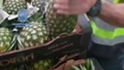 Video 'narcopiñas', la insólita modalidad con la que intentaron entrar 67 kg de coca a España