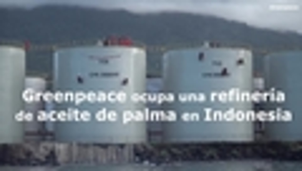 miembros de Greenpeace ocupan una refinería de aceite de palma en Indonesia