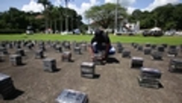 Decomisados 1215 paquetes de droga en Panamá que provenía de Colombia