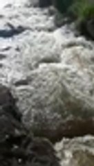 Reportan aumento de un 20 % en el caudal del río Pance, en el sur de Cali
