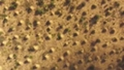 ¡Increíble!, descubren mega-ciudad de pirámides hecha por termitas hace 4000 años