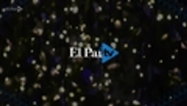 Video: 'zoom' al alumbrado de Cali, conozca los detalles que enriquecen este 'baile' de luces