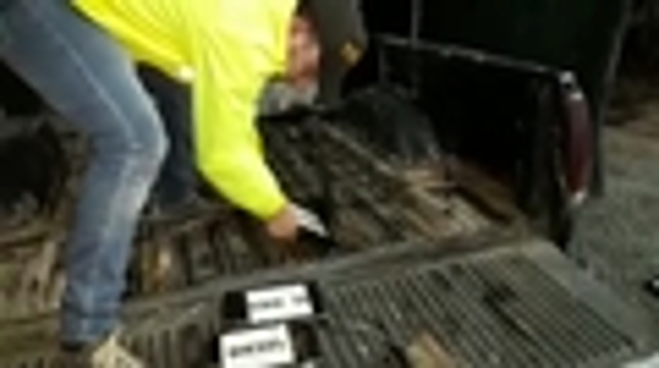 Qhubo-WhatsApp Video 2019-03-25 at 6.32.27 PM.mp4