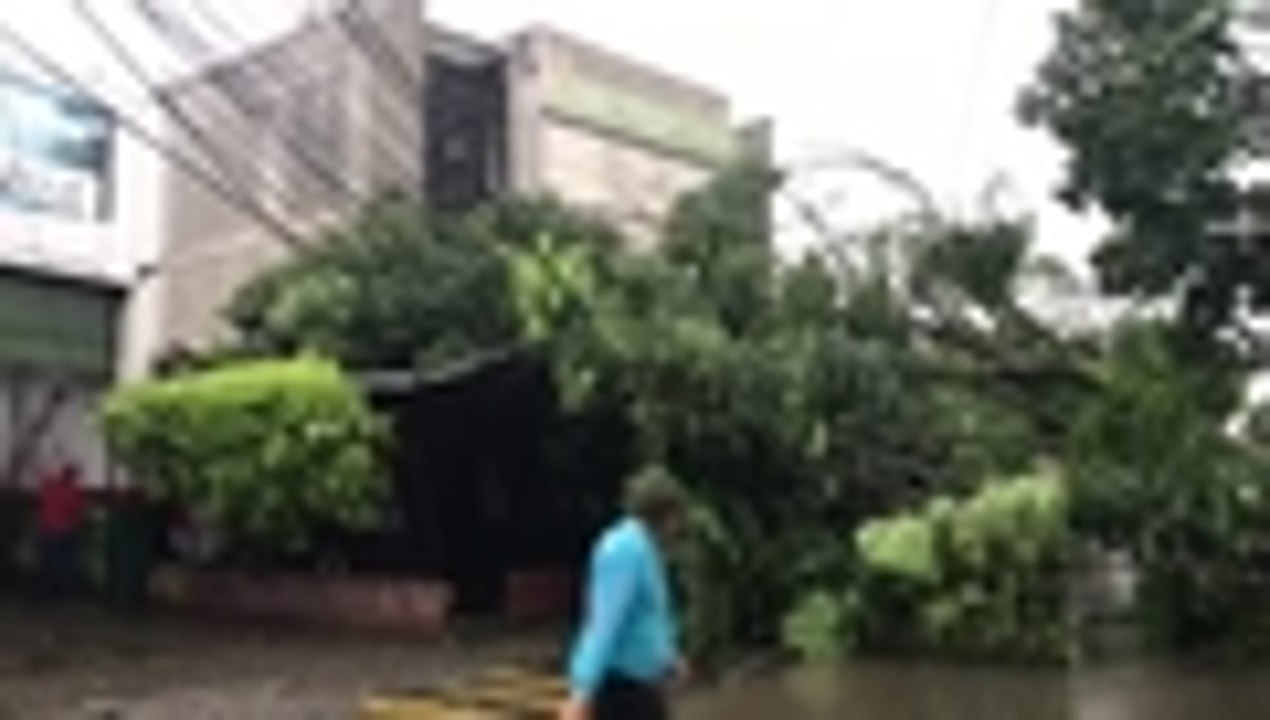 Qhubo-WhatsApp Video 2019-04-02 at 5.30.00 PM.mp4