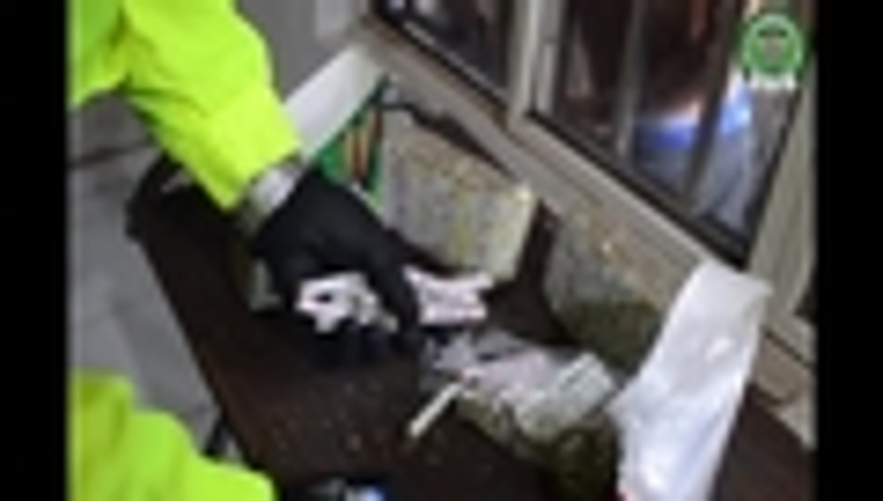 yerba de La Isla.mp4
