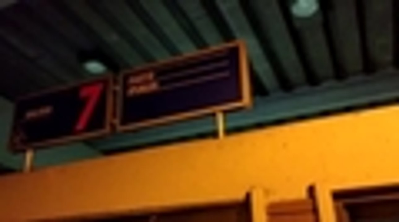 cayó droga en la Terminal.mp4