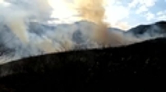 Video: alerta por incendio forestal en Pilas Del Cabuyal, zona rural de Cali