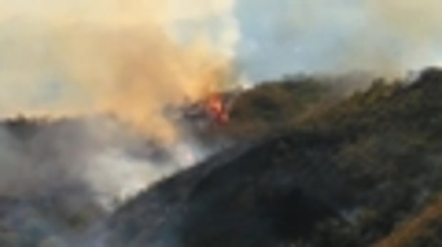 Video: El impresionante incendio forestal que se presenta este jueves en Pilas Del Cabuyal, zona rural de Cali.