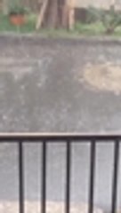 Fuerte aguacero con granizo en Jamundi (2)