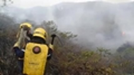Tercer día de labores para controlar incendio forestal en La Castilla, corregimiento de la Vía al Mar 02