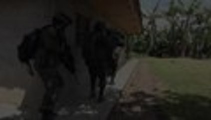 Video: Policía incauta dos toneladas de marihuana en Corinto, Cauca