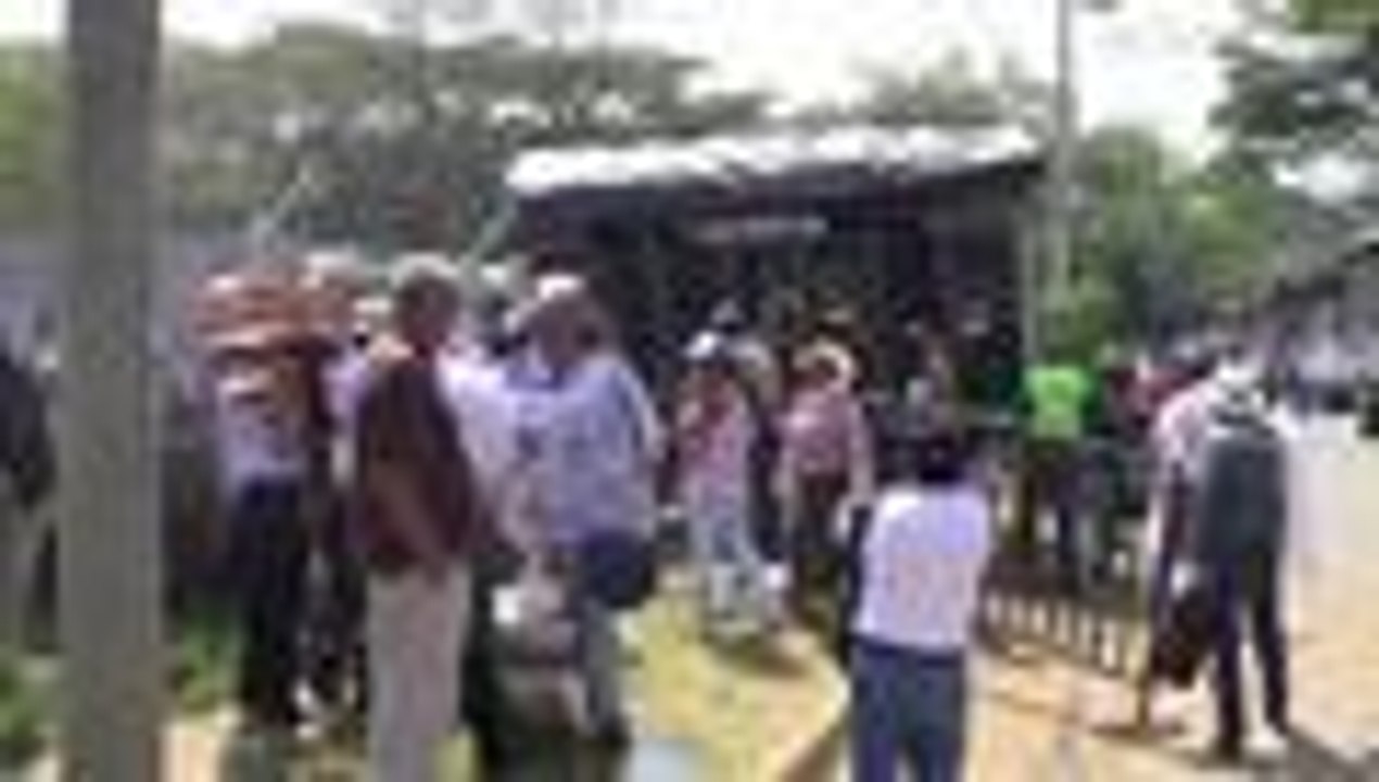 Video: Cabalgata de la Feria de Cali, un desfile de paso fino y mujeres lindas