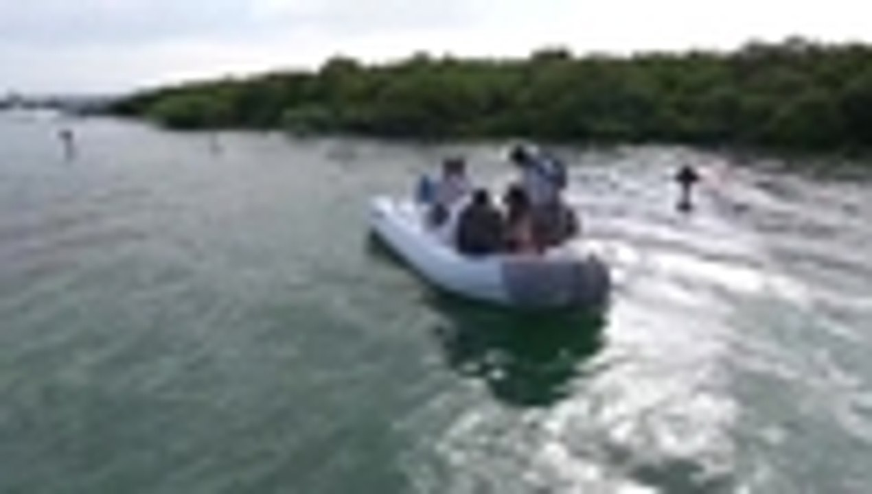 Hallan tortuga de una especie que se creía extinta en isla de Los Galápagos