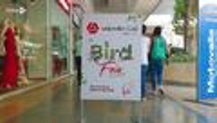 Una gran exposición fotográfica de aves en Colombia se tomó el C.C Unicentro