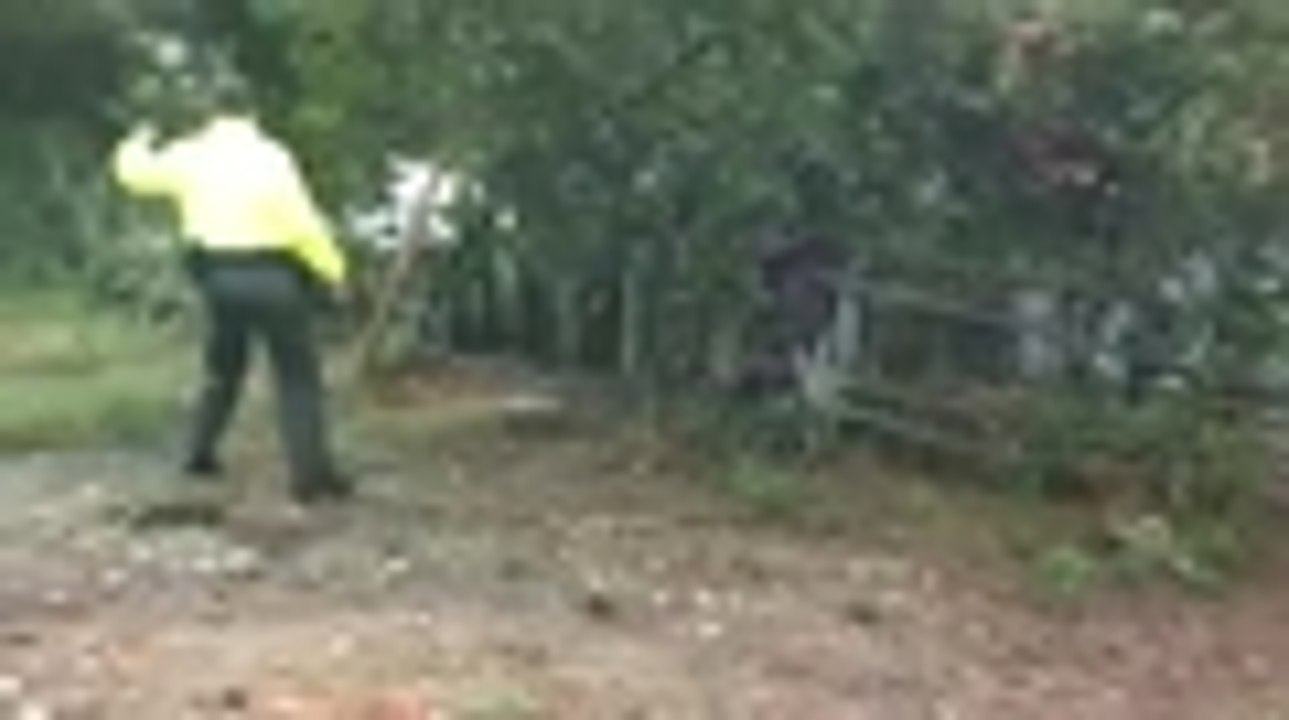 Desarticulan banda dedicada a hurtar motocicletas en la recta Cali - Palmira