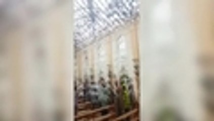 Video: el sangriento Domingo de Resurrección que marcó la historia de Sri Lanka