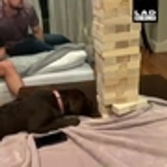 Qhubo-60083001_1723515061128297_823037397452193792_n.mp4