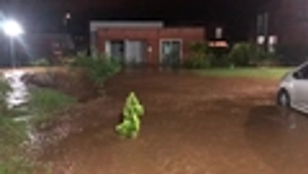Predios afectados por inundación en Jamundí