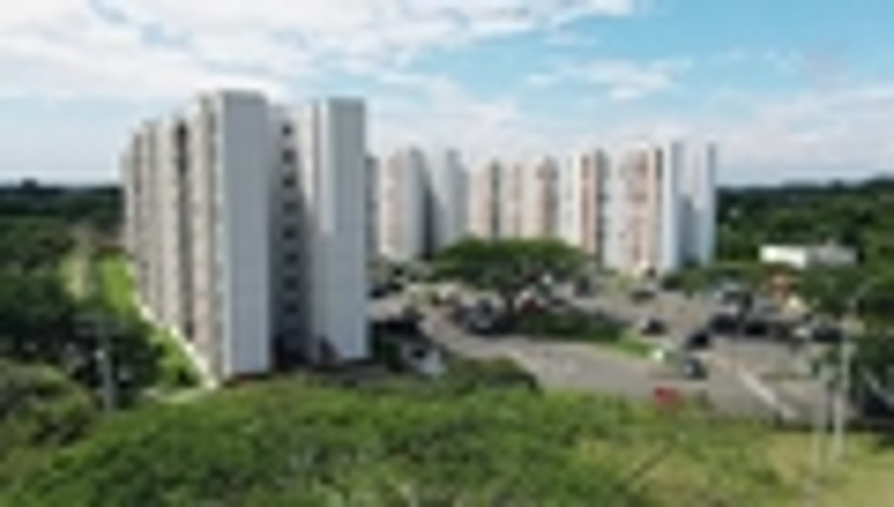 Limonar Constructora