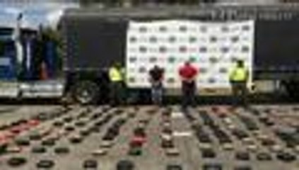 Decomisan tonelada y media de marihuana en el Valle