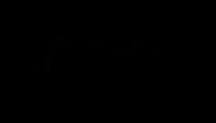 “Brasil 2014 podría ser el último Mundial para Xabi e Iker”: Jorge Brazález