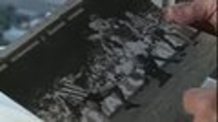 Afonsinho, el futbolista brasileño que jugó a la izquierda durante la dictadura