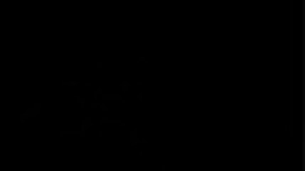 ¬øQu√© selecci√≥n grabar√° su nombre en la Copa Mundial de la FIFA 2014?