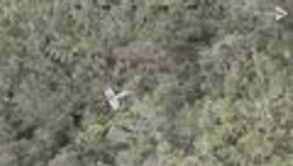 Video: im√°genes del accidente de avioneta que dej√≥ tres muertos en Calima