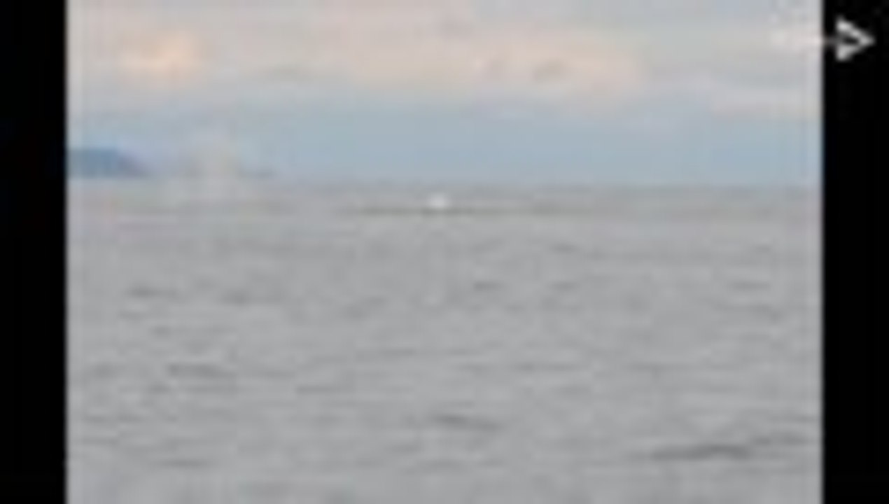 Video: comenzó la temporada de Ballenas en el Pacífico colombiano
