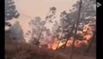 Video: así combaten los bomberos el voraz incendio en Mulaló, Yumbo