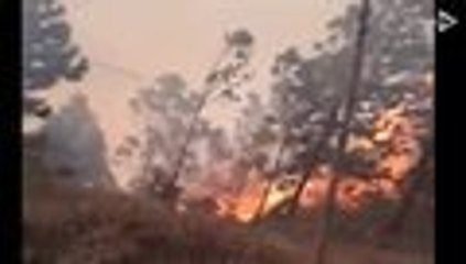 Video: así combaten los bomberos el voraz incendio en Mulaló, Yumbo