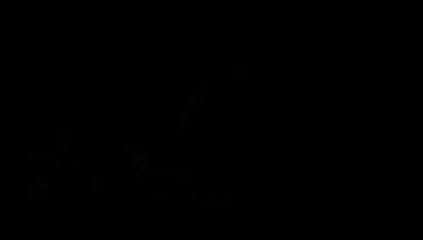 Pole Dance quiere ser deporte en Colombia