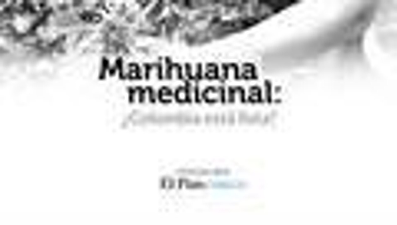 Video: esto piensan los cale√±os sobre la regulaci√≥n de la marihuana medicinal