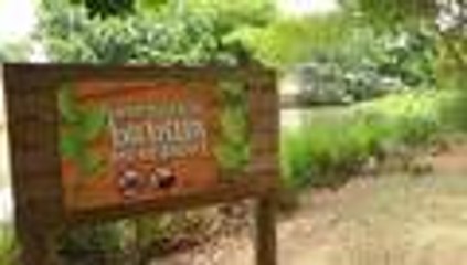 Video: 90 segundos de paseo con la babilla de Ciudad Jardín