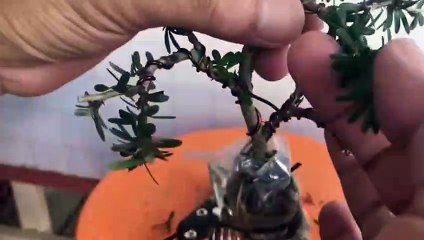 유성지구출장안마 -후불100%ョOiON7467N4367｛카톡RQ43｝ 유성지구전지역출장안마 유성지구오피걸 유성지구출장마사지 유성지구안마 유성지구출장마사지 유성지구콜걸샵⻐∯∶