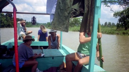 Killer Crocodile movie