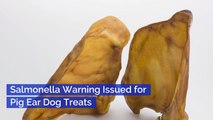 A Salmonella Warning For These Dog Treats