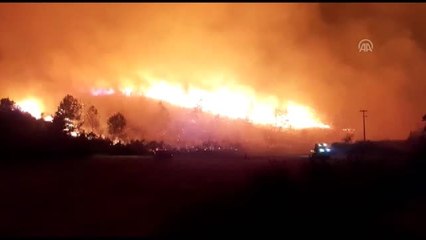 Manavgat'ta orman yangını